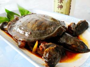 甲魚怎么做好吃？甲魚的做法與技巧
