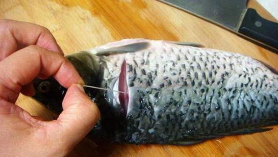 巧去鯉魚(yú)腥味