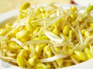 如何發(fā)黃豆芽？家庭怎么發(fā)黃豆芽