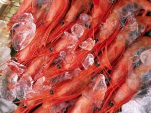 如何選購(gòu)冷凍食品？食品冷凍別超過兩個(gè)月