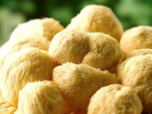 如何泡發(fā)猴頭菇？猴頭菇的泡發(fā)小竅門(mén)