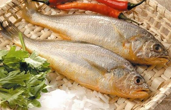 如何辨別染色黃魚(yú)?辨別染色黃魚(yú)的方法