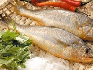 如何辨別染色黃魚？辨別染色黃魚的方法