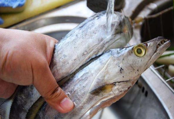 帶魚怎么清洗簡單又干凈?帶魚內(nèi)臟清洗步驟