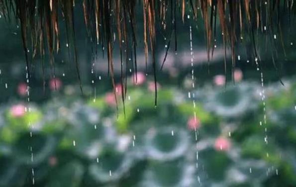 梅雨季節(jié)是什么時間,在什么節(jié)氣之間,梅雨季節(jié)分布在哪些省