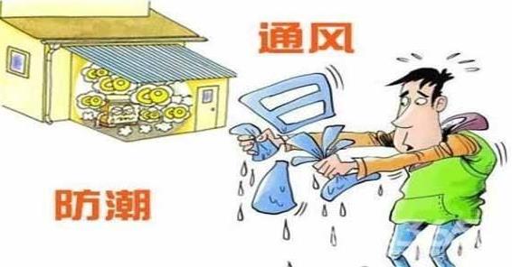 梅雨季節(jié)是什么時間,在什么節(jié)氣之間,梅雨季節(jié)分布在哪些省