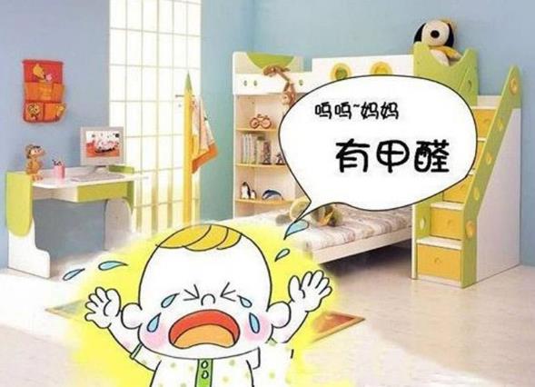 吊蘭和綠蘿具有凈化環(huán)境的作用,吊蘭和綠蘿哪個(gè)吸甲醛更強(qiáng)