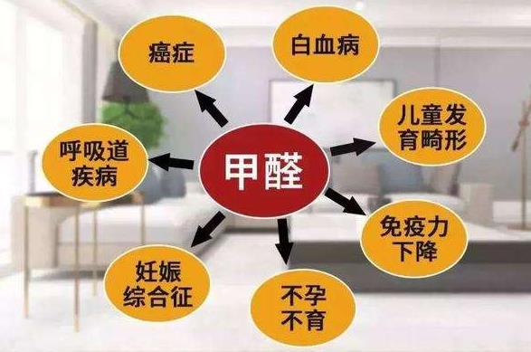 吊蘭和綠蘿具有凈化環(huán)境的作用,吊蘭和綠蘿哪個(gè)吸甲醛更強(qiáng)