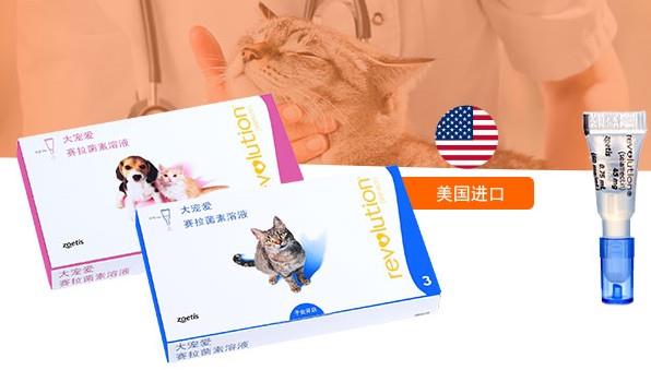 大寵愛和博來恩哪個好?答案親測有效!