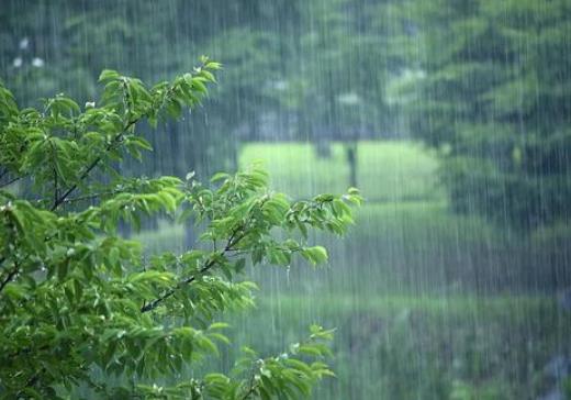 2021梅雨季節(jié)怎樣防止家里發(fā)霉?2021年武漢梅雨季節(jié)是幾月份