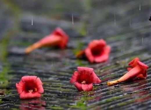 武漢梅雨季節(jié)持續(xù)多久?梅雨季節(jié)家里的東西都長毛了怎么辦