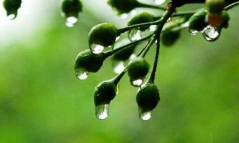 梅雨季節(jié)開窗會增加濕度嗎?梅雨季節(jié)開窗會不會引起涂料發(fā)霉