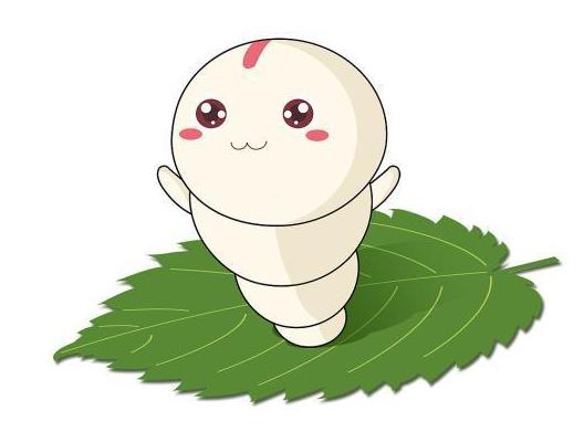 蠶寶寶認識主人嗎?蠶寶寶翻來翻去身體打卷怎么回事?