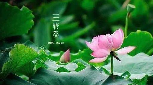 2021年三伏天時(shí)間表是怎樣的?2021年三伏天總共40天嗎?
