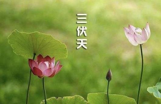 2021年三伏天時(shí)間表是怎樣的?2021年三伏天總共40天嗎?