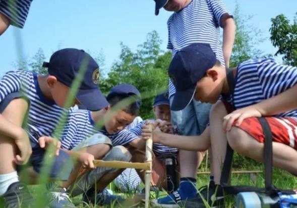 夏令營是什么?夏令營活動(dòng)有哪些內(nèi)容