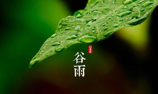 谷雨過后是什么節(jié)氣 谷雨之后還會冷嗎