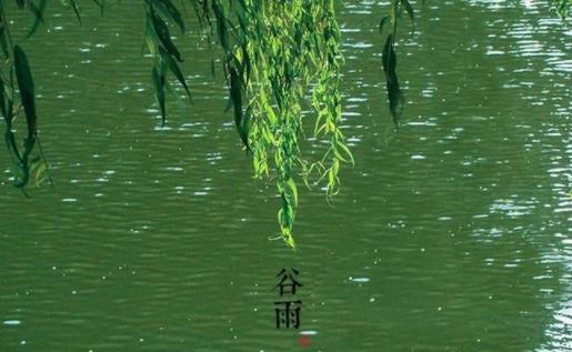 谷雨過后是什么節(jié)氣 谷雨之后還會冷嗎