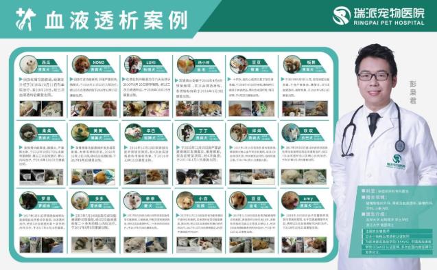 杭州瑞派虹泰,一家26年歷史的靠譜杭州寵物醫(yī)院收費是怎樣的
