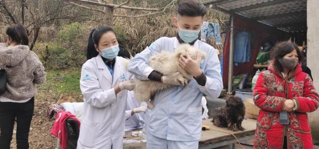 杭州瑞派虹泰,一家26年歷史的靠譜杭州寵物醫(yī)院收費是怎樣的