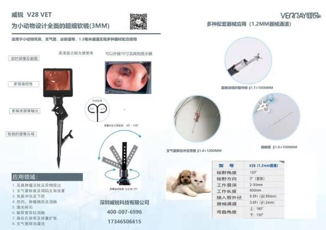 杭州瑞派虹泰,一家26年歷史的靠譜杭州寵物醫(yī)院收費是怎樣的