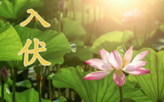 入伏梅雨就結(jié)束了嗎 2021年入伏時間怎么有兩個