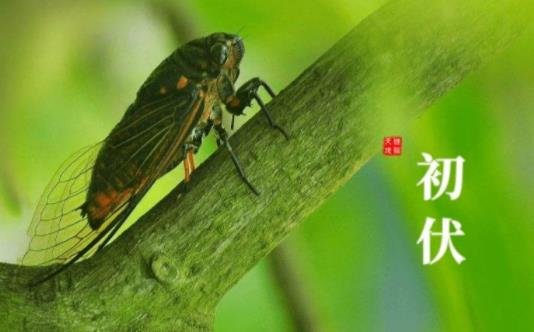 入伏梅雨就結(jié)束了嗎 2021年入伏時間怎么有兩個