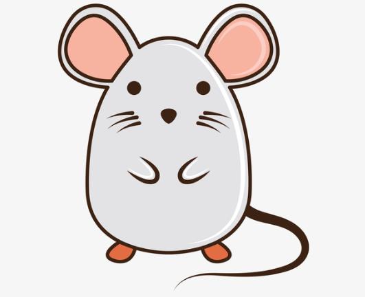 家中有老鼠有什么跡象?人睡著了老鼠會(huì)靠近嗎?
