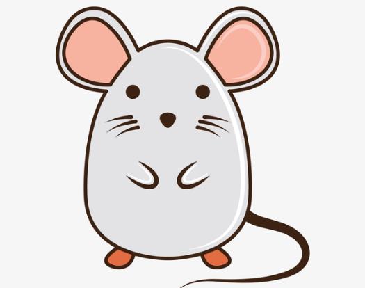 老鼠咬內(nèi)褲是有什么病嗎?老鼠咬空調(diào)管如何處理?