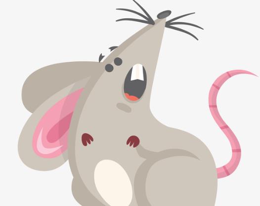 打死了小老鼠母老鼠會(huì)來找嗎?老鼠會(huì)報(bào)仇有科學(xué)依據(jù)嗎?