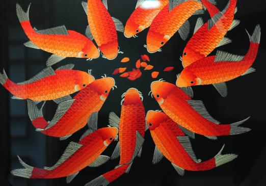 養(yǎng)錦鯉要注意什么?錦鯉可以用魚缸養(yǎng)嗎?