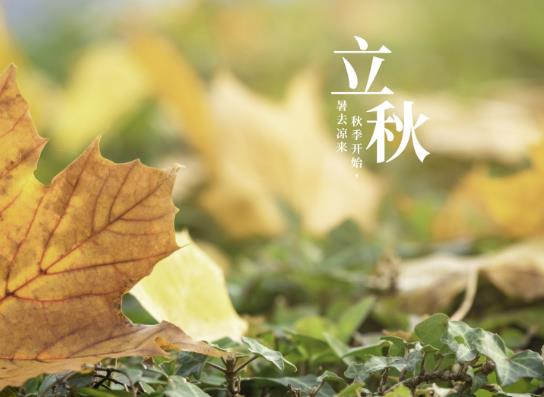 立秋后天氣有什么變化?廣東幾月開始就不熱了?