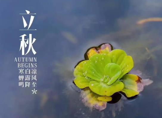 立秋后天氣有什么變化?廣東幾月開始就不熱了?