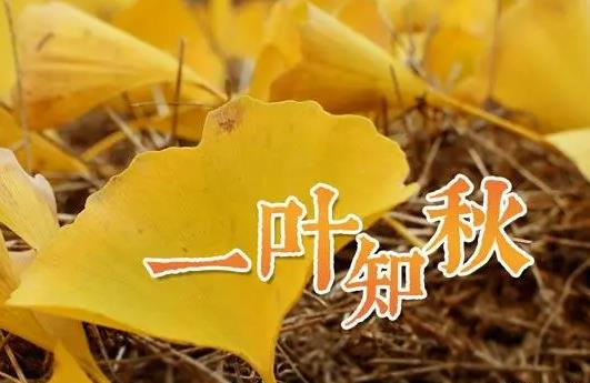 東北立秋后雨水多不多?東北立秋后氣溫大約多少度?