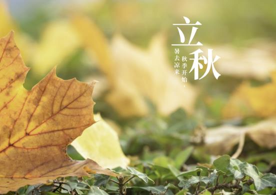 2021年東北立秋后天氣還潮濕嗎?東北2021立秋后天氣還熱多久?