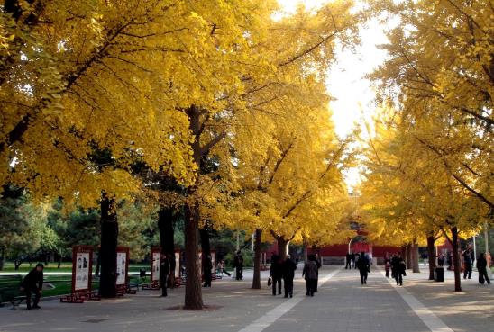 2021年夏季高溫天氣持續(xù)到幾月份?北京高溫天氣還要持續(xù)多久?