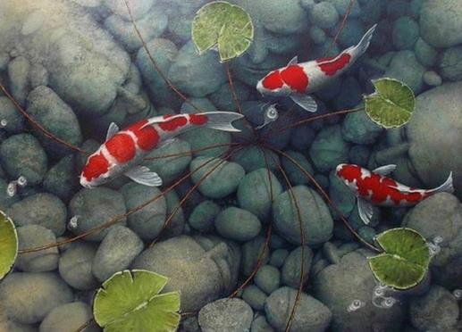 養(yǎng)錦鯉加鹽有好處嗎?養(yǎng)錦鯉要注意什么事項(xiàng)?