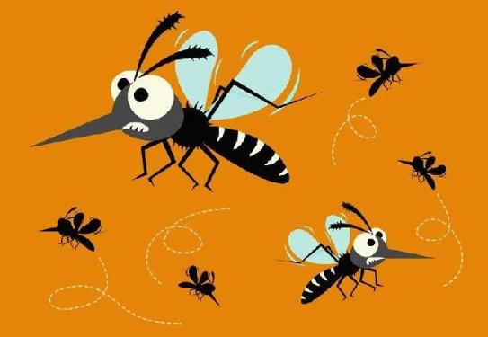 蚊子什么時候最活躍?蚊子喜歡待在屋里什么地方