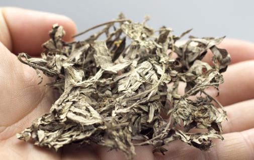 艾葉水洗頭發(fā)能生發(fā)嗎 用艾葉洗頭有什么注意的