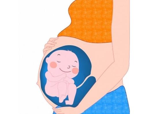 三胎享受國家哪些福利?生三胎獎(jiǎng)勵(lì)100萬是真是假?