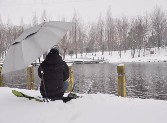 下雪天釣魚(yú)是釣深水還是釣淺水?下雪天釣魚(yú)用什么餌料好?