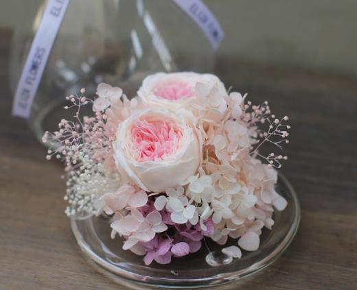 永生花是什么材質做的?永生花發(fā)霉了該怎么拯救?