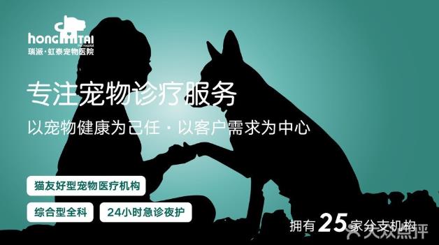 杭州貓友好型+24小時寵物醫(yī)院,有家,有愛,有虹泰。