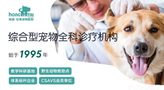 杭州貓友好型+24小時寵物醫(yī)院,有家,有愛,有虹泰。