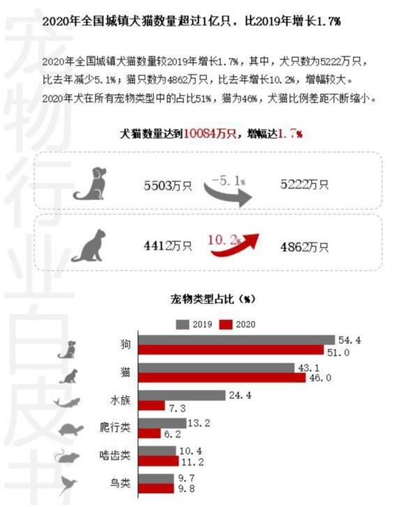 杭州貓友好型+24小時寵物醫(yī)院,有家,有愛,有虹泰。