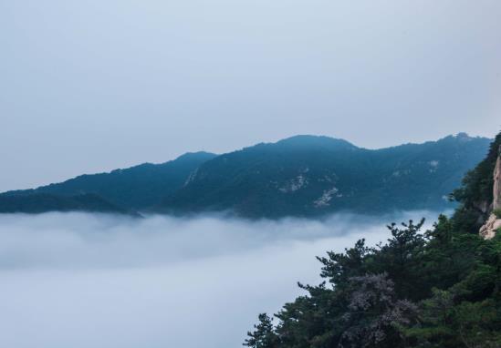 行程卡在一個(gè)地方停留4小時(shí)會(huì)更新顯示嗎?通信行程卡有誤差怎么辦