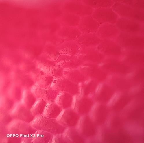 OPPO Find X3 雙十一告捷 新王者誕生!