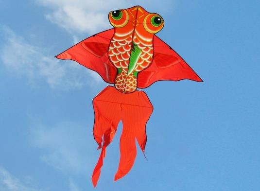 風(fēng)箏能把人帶起來(lái)嗎?能在山上放風(fēng)箏嗎