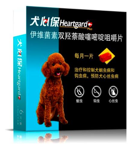 狗狗體內(nèi)驅(qū)蟲多久一次 鏟屎官必看!