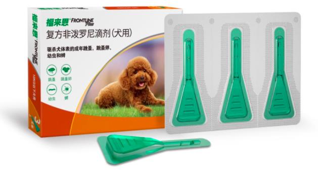 小狗怎樣才算驅(qū)蟲成功?體外驅(qū)蟲需要注意什么?